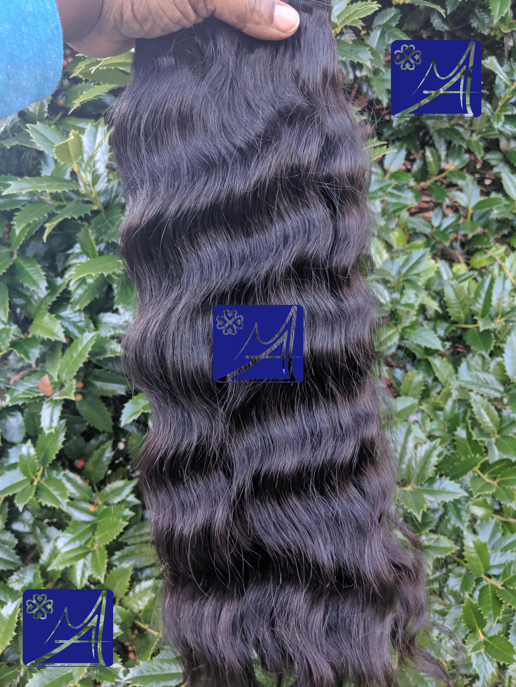 Burmese Hair - Modern Angles HAIR